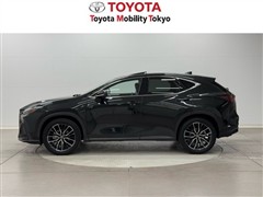 NX250 バージョンL