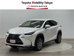 NX300h バージョンL