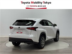 NX300h バージョンL