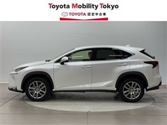 NX300h バージョンL