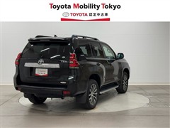 ランクルプラド TZ-G