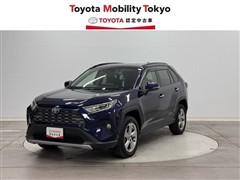 ＲＡＶ４