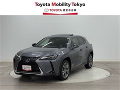 UX300e バージョンL