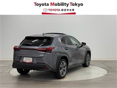 UX300e バージョンL