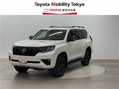 ランクルプラドTXLパックマットB