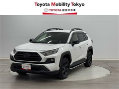 ＲＡＶ４