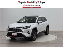 RAV4 HV G