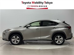 NX300h バージョンL