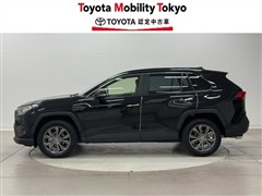 RAV4 G