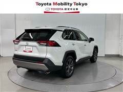 RAV4 G
