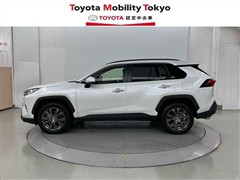 RAV4 G