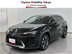 UX250h バージョンL