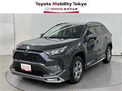 RAV4 X