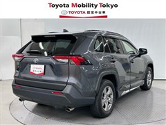 RAV4 X