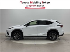 NX300h Fスポーツ