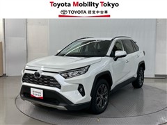 RAV4 G