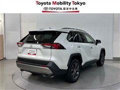 RAV4 G