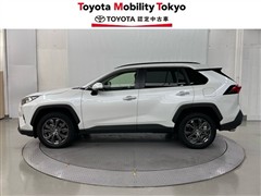 RAV4 G