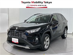 RAV4 G