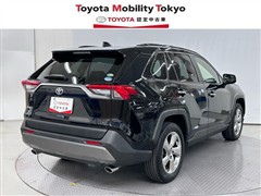 RAV4 G