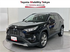 RAV4 G