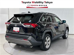 RAV4 G