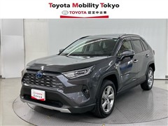 RAV4 HV G
