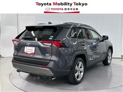 RAV4 HV G