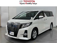 トヨタ　アルファードSサイドリフトアップ