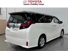 アルファードSサイドリフトアップ