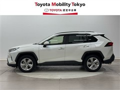 RAV4 G