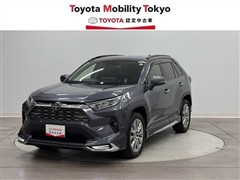ＲＡＶ４
