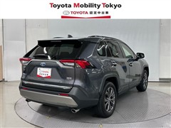 RAV4 HV G