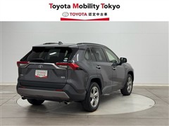 RAV4 HV G