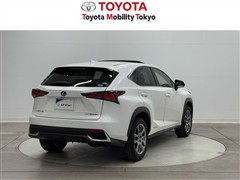 NX300h バージョンL