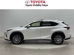 NX300h バージョンL