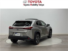 UX250h バージョンC