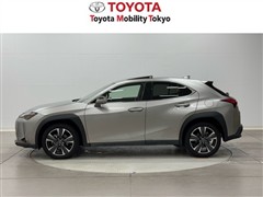 UX250h バージョンC