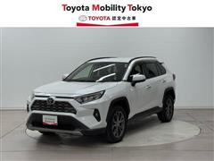 ＲＡＶ４