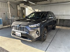 RAV4 HV G