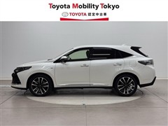 ハリアー エレガンスG`S