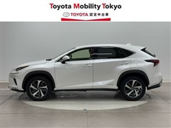 NX300h Iパッケージ
