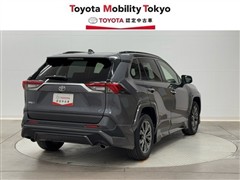 RAV4 G