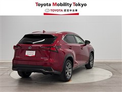 NX300h Fスポーツ