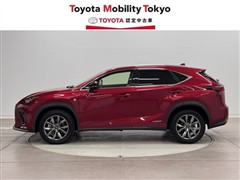 NX300h Fスポーツ