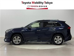 RAV4 HV G