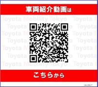 RAV4 X