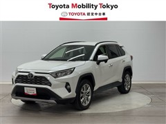ＲＡＶ４