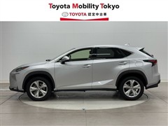 NX300h バージョンL