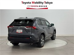 RAV4 PHV G